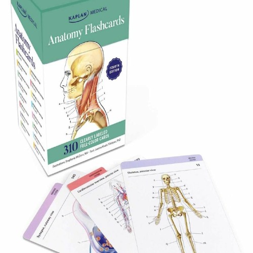 Stream [PDF] ️DOWNLOAD⚡️ Anatomy Flashcards from gyuas Listen online