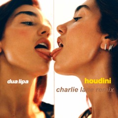 Dua Lipa - Houdini (Charlie Lane Remix)
