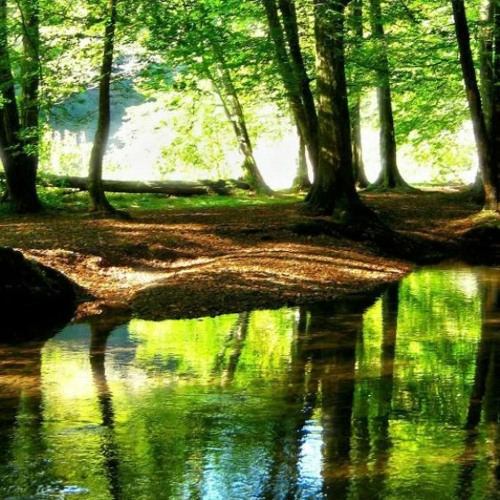 CheckthisoutCheckthisshit calm background music DOWNLOAD