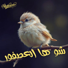 شو ها العصفور