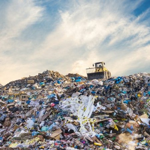 Trash Game