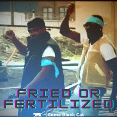 Some Black Cat Flips and Remixes