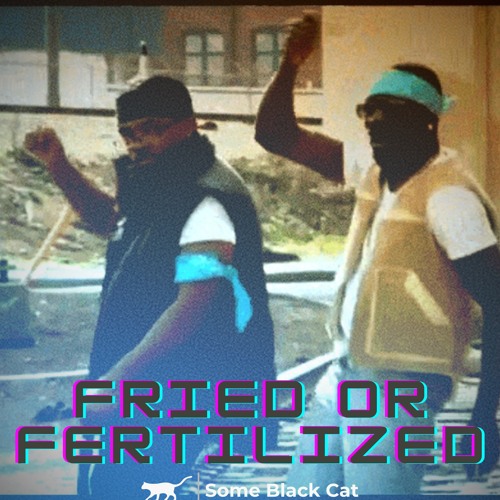 Some Black Cat Flips and Remixes