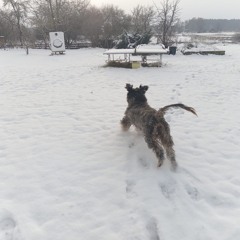 2026-01-11 , Slowbeat Mix