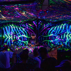 Psylusie - Zwolle Netherlands