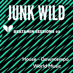 Sessions 02 by Junk Wild