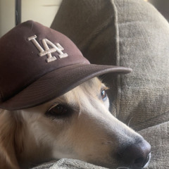 TEDDY - gav