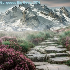 Gorgeous Big Room 2018 Pt.005
