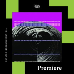 PREMIERE: Lauren Mia - Fervor [Ear Porn Music]