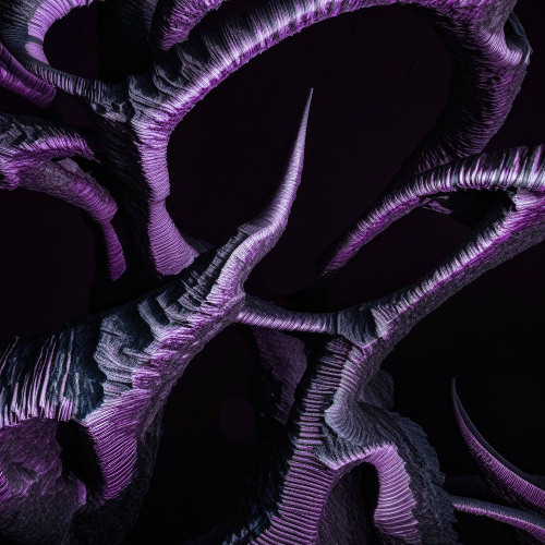 Luciferase intro
