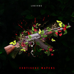 Zij Wilt Meer (feat. Bizzey)