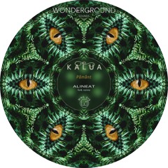 Kalua - Pământ (Alineat Folk Remix) [WNG019]