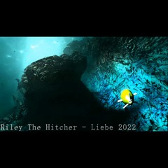 Ayla - Liebe (Riley The Hitcher 2022 Remix)