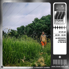 La Difusion w Animaux and Tim Bob on STEAM Radio 07.09.2024