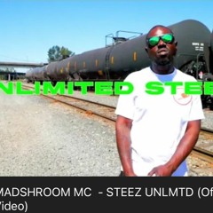 1. Steez Unlmtd. Prod TVPES
