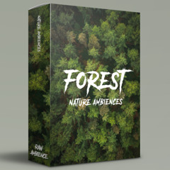Forest - Nature Ambiences (preview)