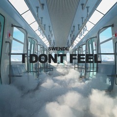 Swendl - I Don't Feel