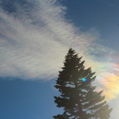 Nature is a Woman - Bliss