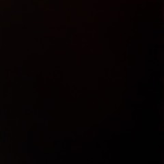 GHOST animation meme (piggy ALPHA) flipaclip [little backstory].mp3