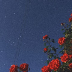 Jontrona but it's EDM