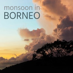 Monsoon in Borneo - Album Sample