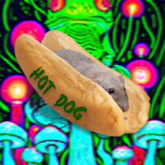 RATS - HOT DOG [200 FOLLOWERS FREEBIE]