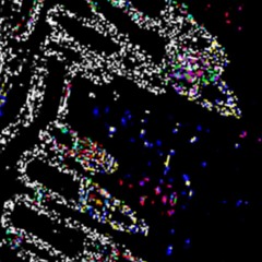 miami heat (angel mix)