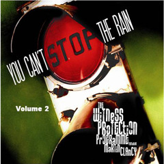 You Can't Stop the Rain Remixes Vol. 2