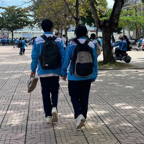 Trà cúc xôi cốm Vol 1- dt