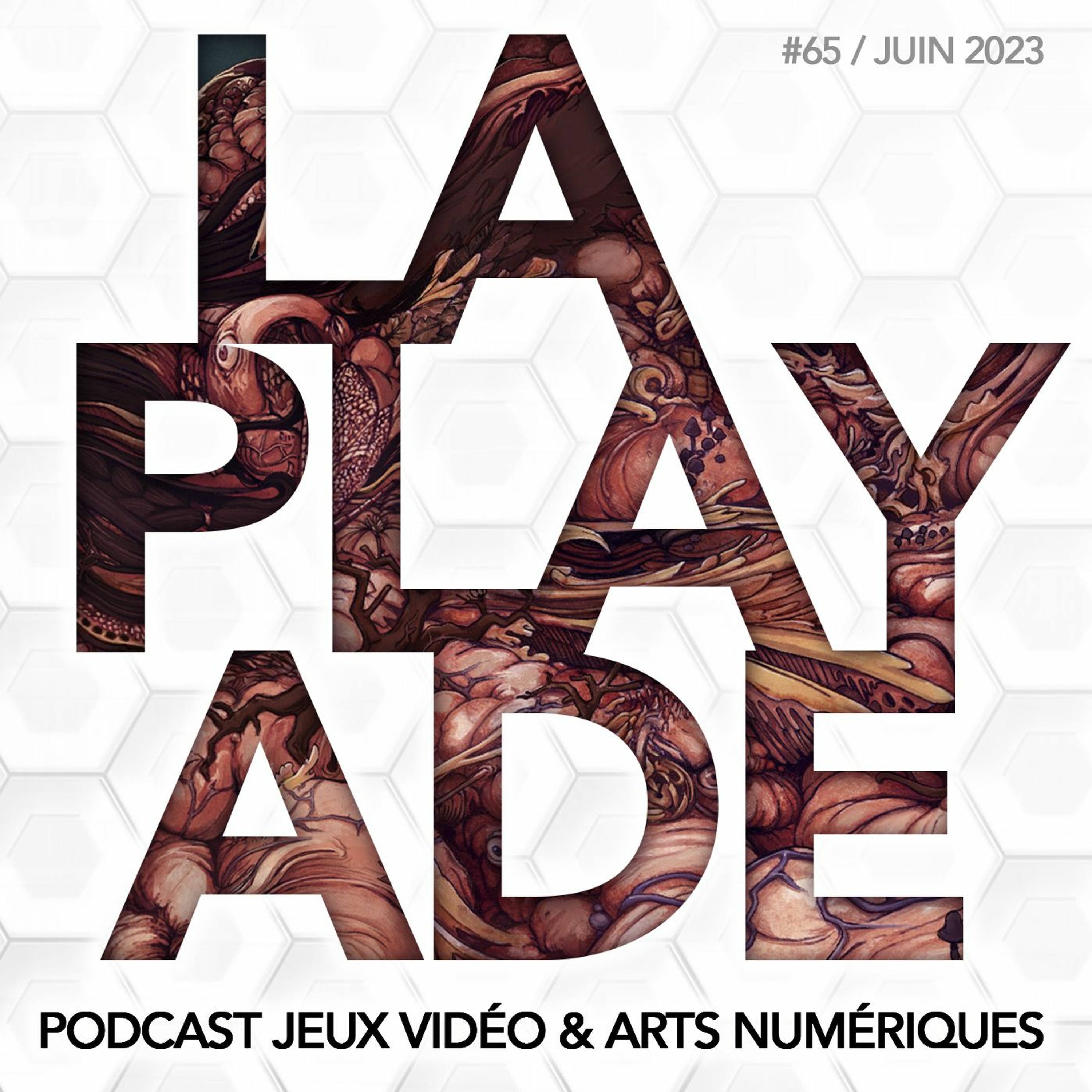 La Playade #65 (Juin 2023) Decarnation avec Quentin de Beukelaer, Diablo IV, Planet of Lana...