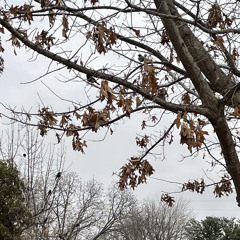 rip mud demo <3 prod. disgusting <3