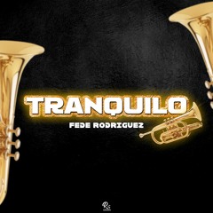 🎺 Tranquilo - Mega Trompeta 🎺 - Fede Rodriguez - Aleteo 2022