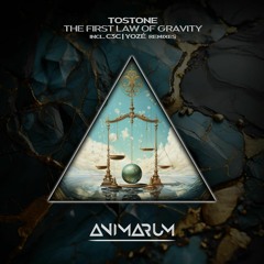 Tostone - The First Law Of Gravity (YOZÉ Remix)