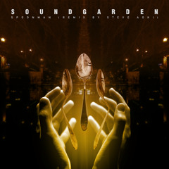 Spoonman (Steve Aoki Remix)
