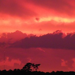 John Storemski - Doom Flower