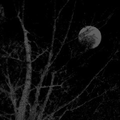 The world fades to black (Outro)