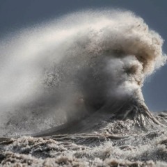 CRIM WAVE