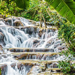 Review Special Price Dunns River Falls