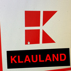 KAUFLAND HIER WIRD ALLES GEKLAUT GLEICH (REMIX)