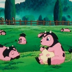 straydairy