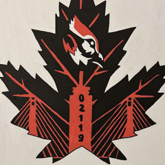 Nobody Noticed Freestyle