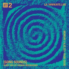 Gong Sounds w/ Eirwud Mudwasser 250422