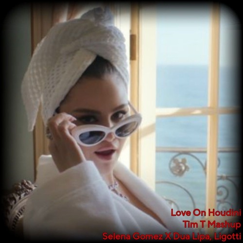 Love On Houdini (Tim T Mashup) - Selena Gomez x Dua Lipa, Ligotti