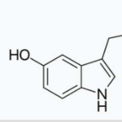 SEROTONIN