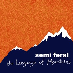 The Recruiter by Semi Feral (2011)