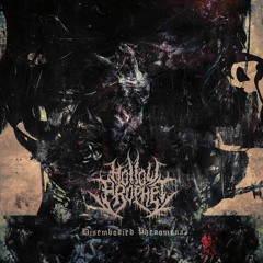 Hollow Prophet - Disembodied Phenomena