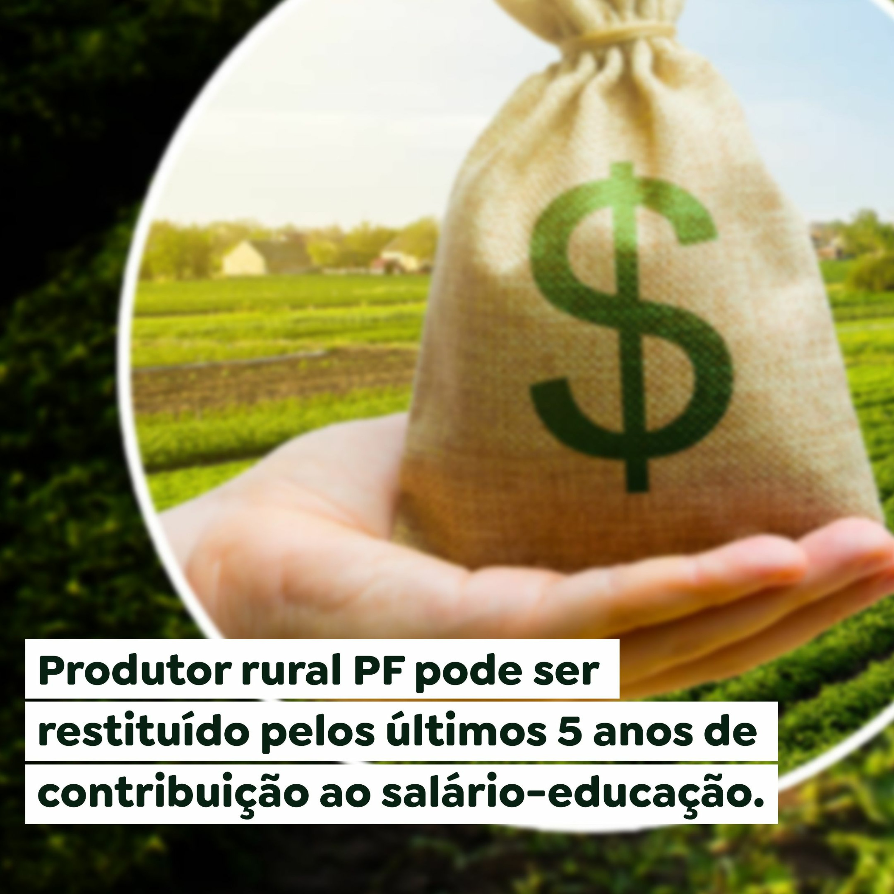 Ser Rural Produtor rural PF pode ser restituído pelos últimos 5 anos de ...