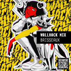 WALLHACK MIX