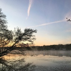 the entire world is in my mouth (when i drink pearl nectar)_20220318