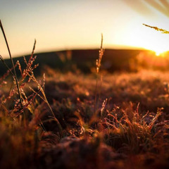 Twilight (Inspired By Napoleon Torres)